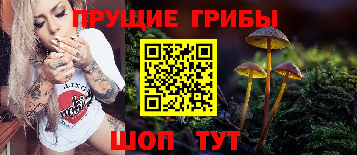 Псилоцибиновые грибы GOLDEN TEACHER  Вход с VPN  Стрежевой 